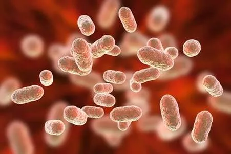 Fotomicrografía coloreada de bacterias causantes de la enfermedad periodontal